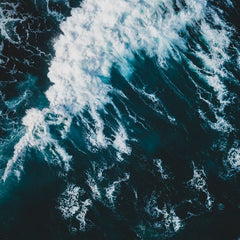 Katapult and OCTAVE Capital launch $75m Asian ocean fund