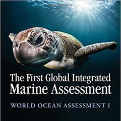 The First Global Integrated Marine Assessment