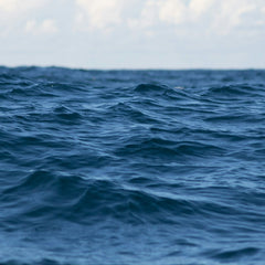 Investors want clear ocean management rules to scale up funding