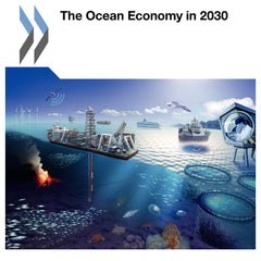 The Ocean Economy in 2030