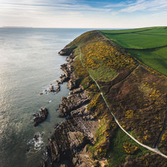 The Value of Restored UK Seas