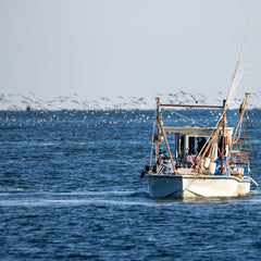 Electric boats splash down in rural Maine’s coastal waters