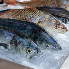 Aquatic foods to nourish nations