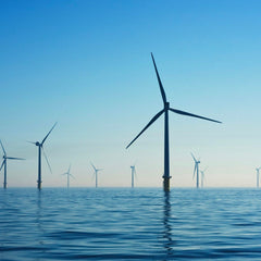 Using AI to enhance heavy assets and forge a sustainable blue economy