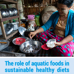 The role of aquatic foods in sustainable healthy diets