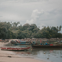 The Potential of the Blue Economy: Increasing Long-term Benefits of the Sustainable Use of Marine Resources for Small Island Developing States and Coastal Least Developed Countries