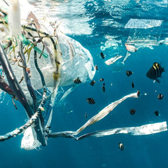 Peak Plastics: Bending the Consumption Curve