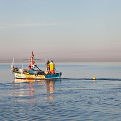 Spotlighting Women-Led Fisheries Livelihoods Toward Sustainable Coastal Governance: The Estuarine and Mangrove Ecosystem Shellfisheries of West Africa