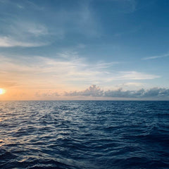 Billionaire Ray Dalio backs Singapore-led mission to map oceans