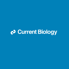 Blue Growth Potential to Mitigate Climate Change through Seaweed Offsetting