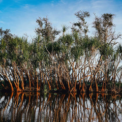 Blue Infrastructure Finance: A new approach, integrating Nature-based Solutions for coastal resilience