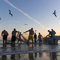 Aquaculture and Nature-based Solutions