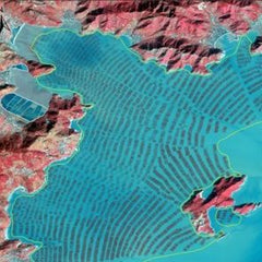 Nutrient removal from Chinese coastal waters by large-scale seaweed aquaculture