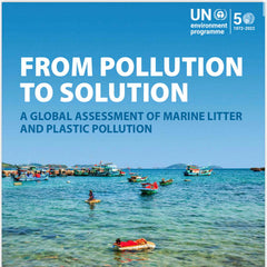 From Pollution to Solution: a global assessment of marine litter and plastic pollution