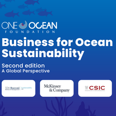 Business for Ocean Sustainability