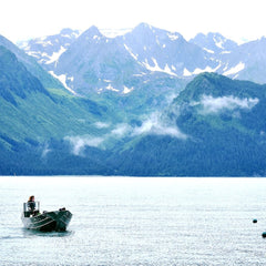 Alaska’s newest gold rush: Seaweed