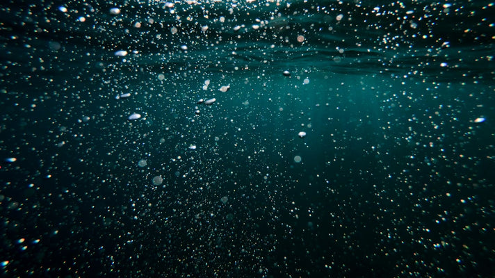 New MBARI technology reveals ocean carbon storage in real time