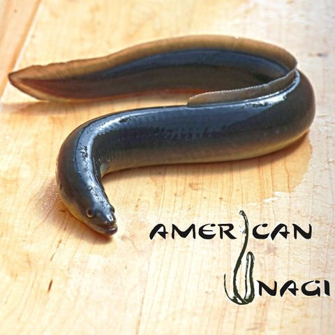 American Unagi