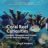 Coral Reef Curiosities