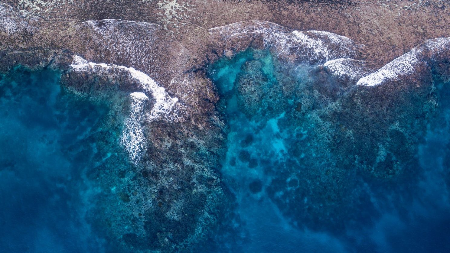 These sustainable floats gather vital data about the ocean - while using the water to recharge