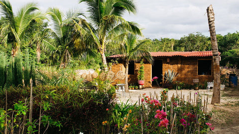 Making Houses Out of Seaweed