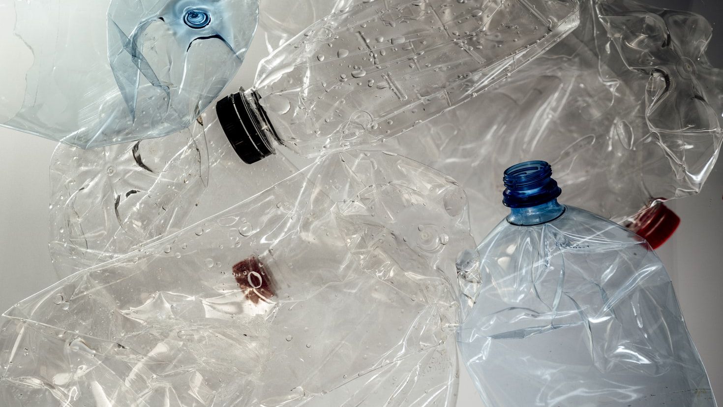 Researchers Find Way for Plastic Waste to Soak Up CO2