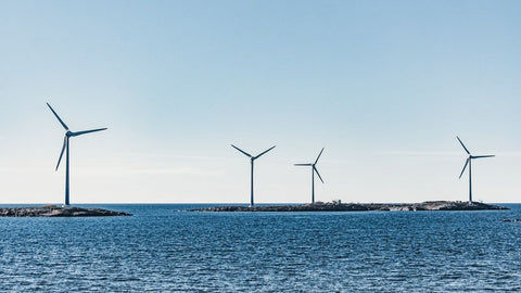 Program spins out new tech to monitor marine life near offshore wind farms