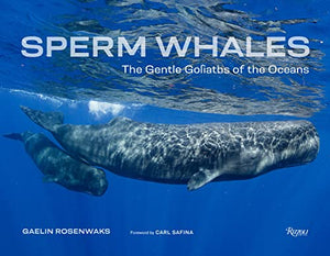 Sperm Whales: The Gentle Goliaths of the Ocean