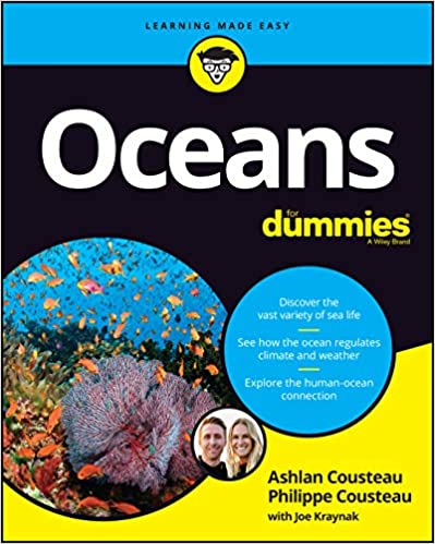 Oceans For Dummies