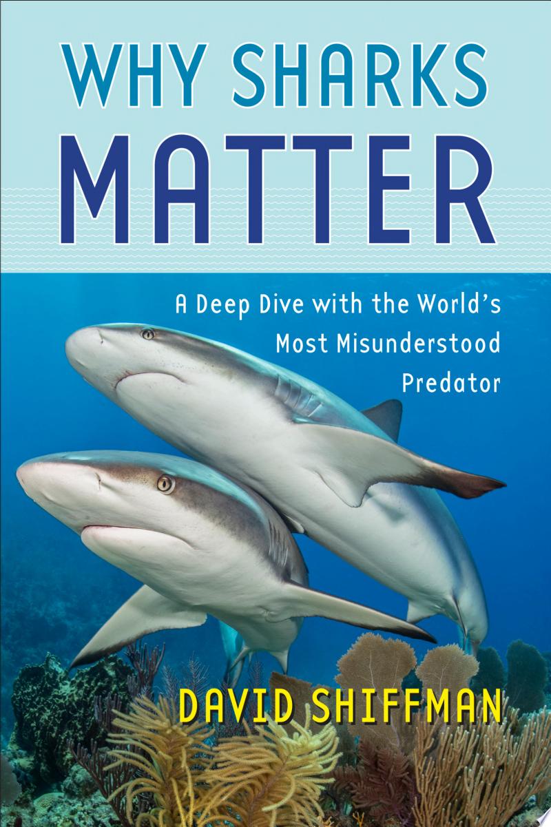 Why Sharks Matter