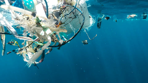 New Technique Can Map Ocean Plastics from Space